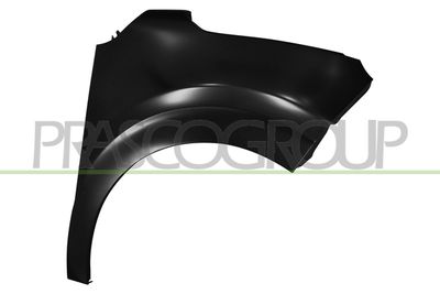 Крыло PRASCO CI3283003 для CITROËN C3