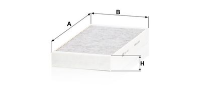 Cabinefilter met actieve kool past: RENAULT LAGUNA, LAGUNA III 1.5D-3.5 10.07-12.15