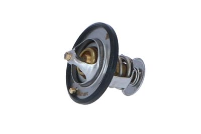 TERMOSTAT LICHID RACIRE NRF 725087 14