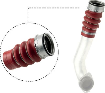 FURTUN EAR SUPRAALIMENTARE