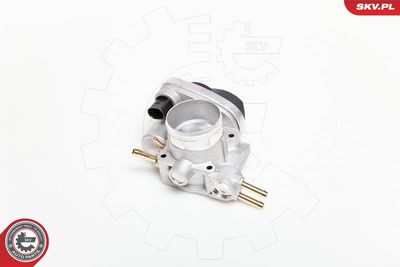 Throttle Body 12SKV037