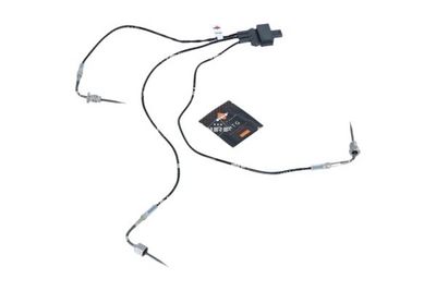 Jutiklis, išmetamųjų dujų temperatūra