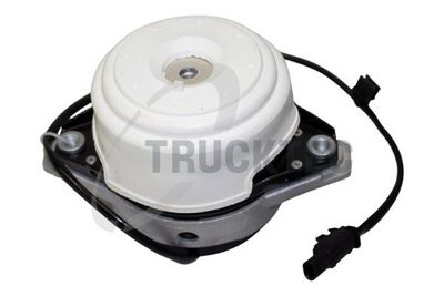 TRUCKTEC AUTOMOTIVE Variklio montavimas