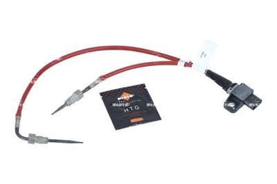 Sensor, Abgastemperatur