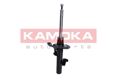 Shock Absorber 2000041