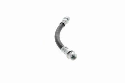 FURTUN FRANA VAICO V104136 7