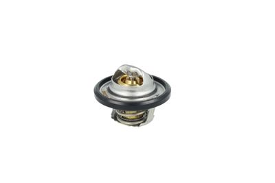 TERMOSTAT LICHID RACIRE NRF 725544 25