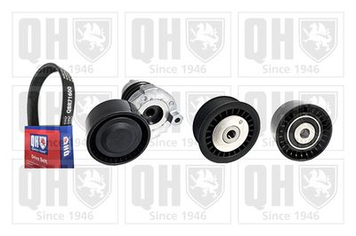 SET CUREA TRANSMISIE CU CANELURI