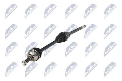 PLANETARA NTY NPWPE124 19