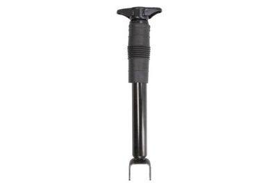 Set suspensie, arcuri elicoidale / amortizoare MAGNUM TECHNOLOGY SAV005MT