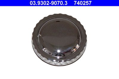 Uzáver, zariadenie na plnenie/odvzd. (brzdová hydraulika) ATE 03.9302-9070.3