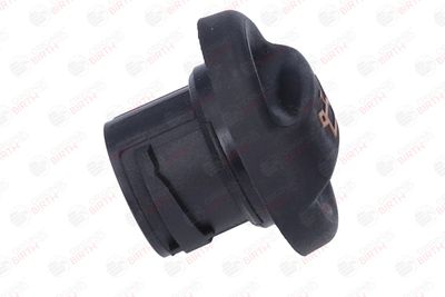 BUSON UMPLERE ULEI BIRTH 8901 10