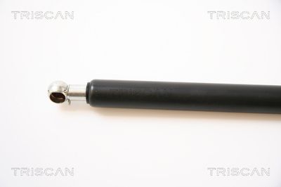 AMORTIZOR PORTBAGAJ TRISCAN 871042221 1