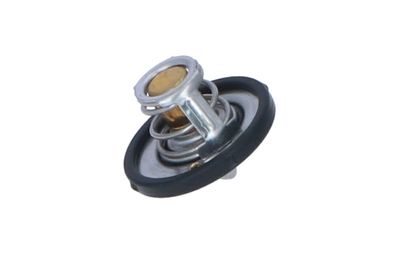 TERMOSTAT LICHID RACIRE NRF 725187 6