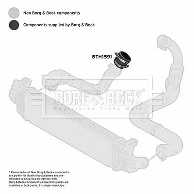 Charge Air Hose Borg & Beck BTH1591