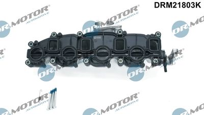 Intake Manifold Module DRM21803K