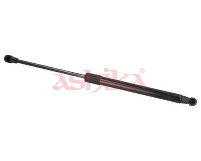 ZSA02024