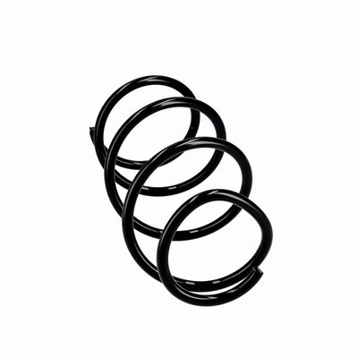 ARC SPIRAL EIBACH R10839 24