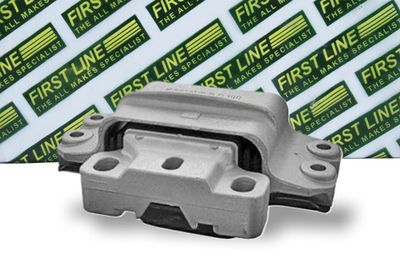 окачване, двигател FIRST LINE FEM3841