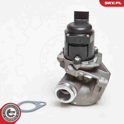 SUPAPA EGR ESEN SKV 14SKV028