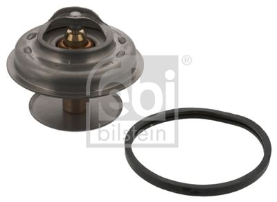 Thermostat, coolant FEBI BILSTEIN 09325