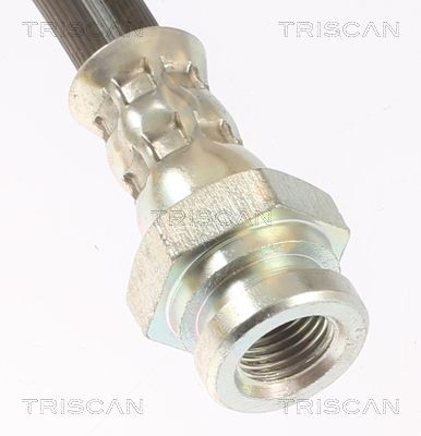 FURTUN FRANA TRISCAN 8150162013 2