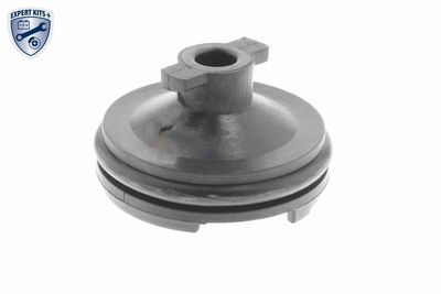 VERSCHLUSSSCHRAUBE ÖLWANNE VAICO V251116 8