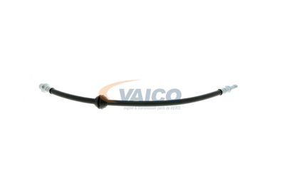 FURTUN FRANA VAICO V204107 26