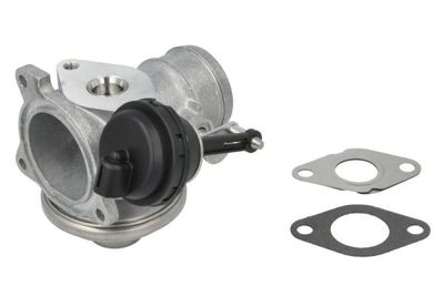 EGR Valve ENT500013