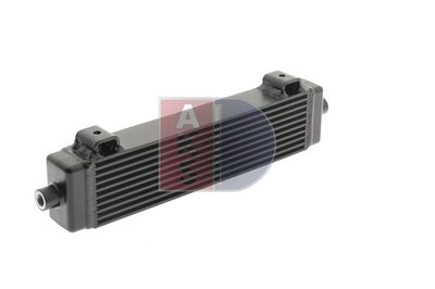 ÖLKüHLER MOTORöL AKS DASIS 486011N 13