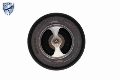 TERMOSTAT LICHID RACIRE ACKOJA A52990015 4