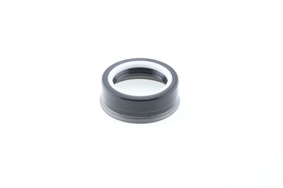 Dichtring