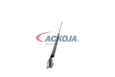AMORTIZOR PORTBAGAJ ACKOJA A320091 50