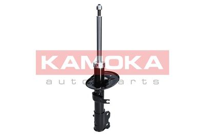 Shock Absorber 2000246