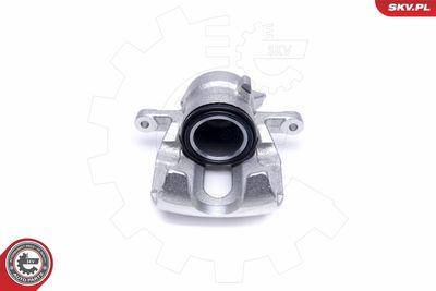 Brake Caliper 50SKV492