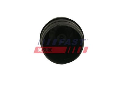 CAPAC CARCASA FILTRU ULEI FAST FT94747 1