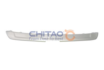Ozdobná / ochranná lišta, nárazník CHITAO CT109809