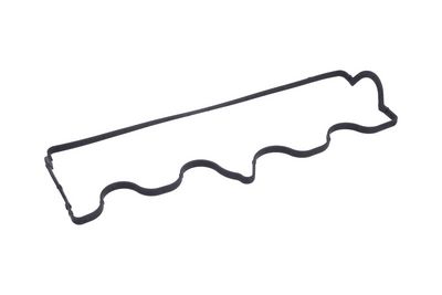 GARNITURA CAPAC SUPAPE