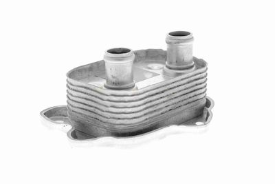 RADIATOR ULEI ULEI MOTOR VEMO V20600051 5
