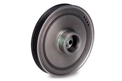 FULIE CUREA ARBORE COTIT Schaeffler INA 544017110 1