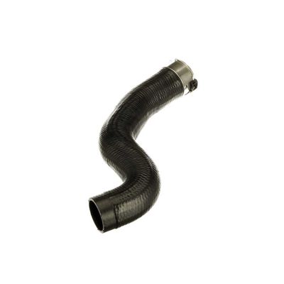 FURTUN EAR SUPRAALIMENTARE GATES 091624 44