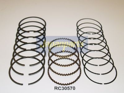 SEGMENT PISTON
