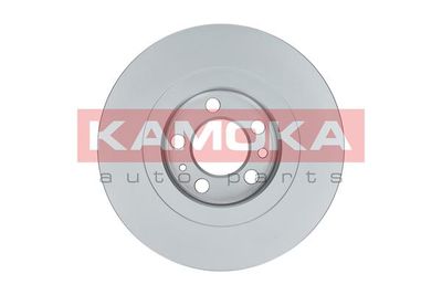 Brake Disc 1031856