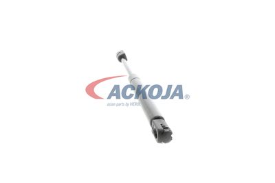 AMORTIZOR PORTBAGAJ ACKOJA A320134 47