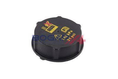 VAS DE EXPANSIUNE RACIRE BOGAP V4240104 4