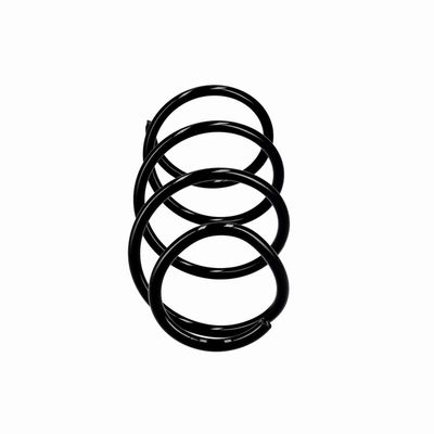 ARC SPIRAL EIBACH R10875 1