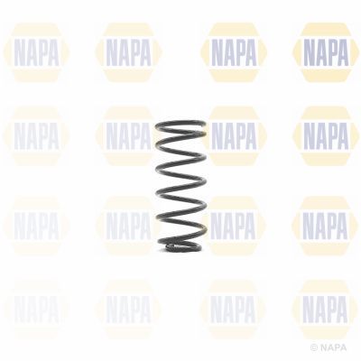 Suspension Spring NAPA NCS1355