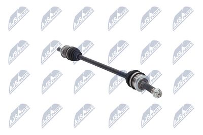 PLANETARA NTY NPWMS124 13