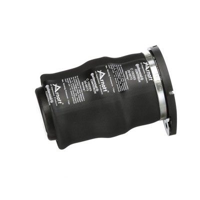 LUFTFEDER FAHRWERK Arnott A2799 77