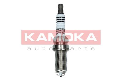 Spark Plug 7100513